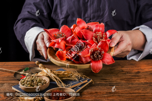 木棉花