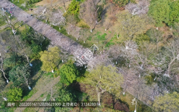 航拍淹城遺址公園