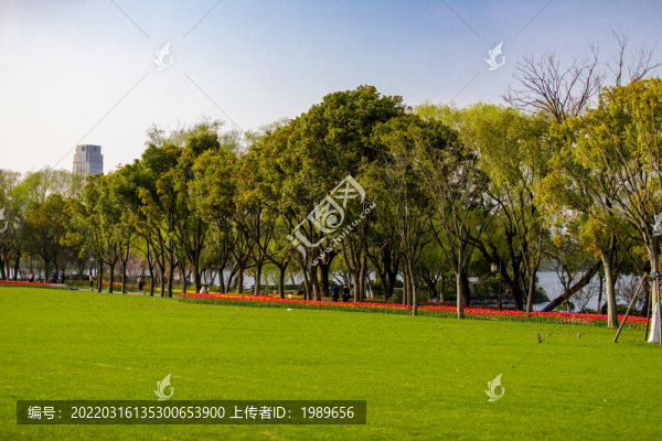 鮮花草坪公園