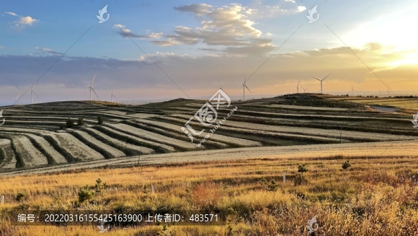 草原風(fēng)光