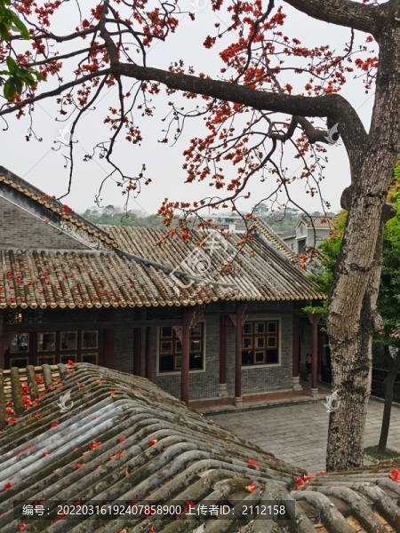 清暉園春色