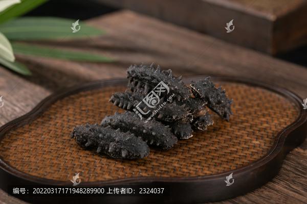 海參干淡干海參干貨大連遼參海