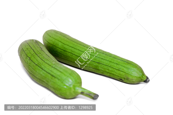 絲瓜素材