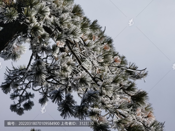 黃山玉屏樓景區(qū)