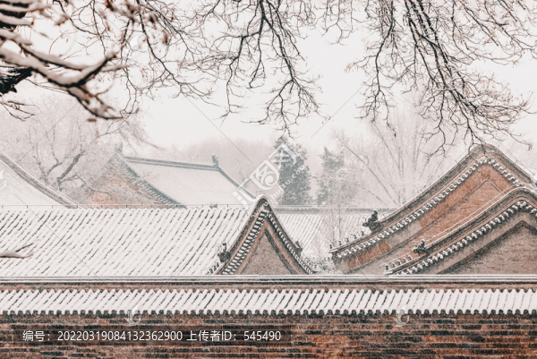 北京雪景