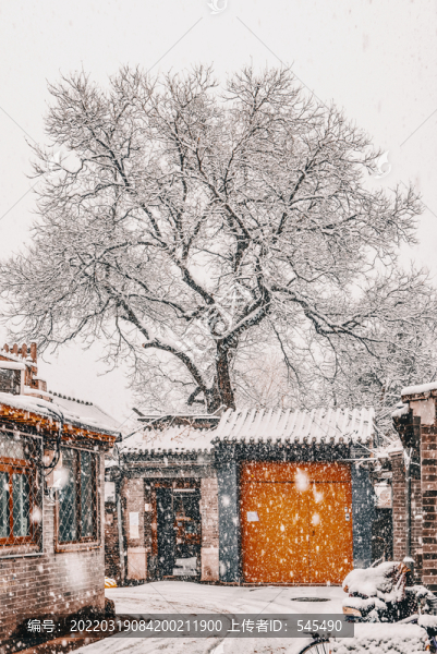 北京雪景
