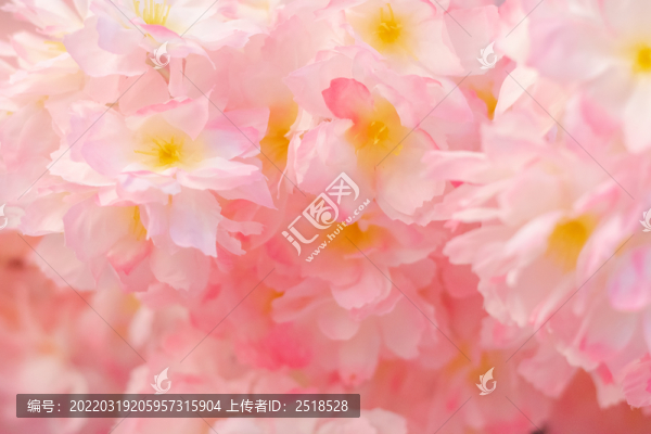 春天粉色櫻花花朵背景