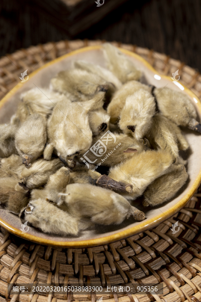 毛桃辛夷花