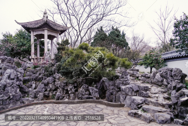 春天梅花山南京明孝陵