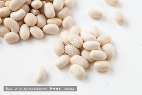 白背景上的蕓豆