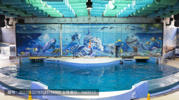 南京海底世界海豚表演館
