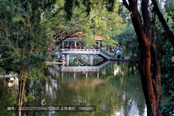 洪湖公園廊橋