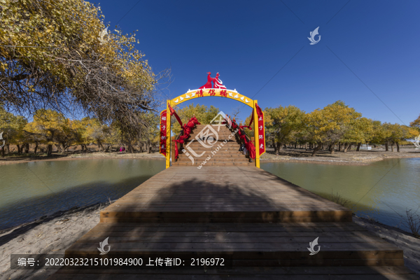 額濟(jì)納情侶橋景觀