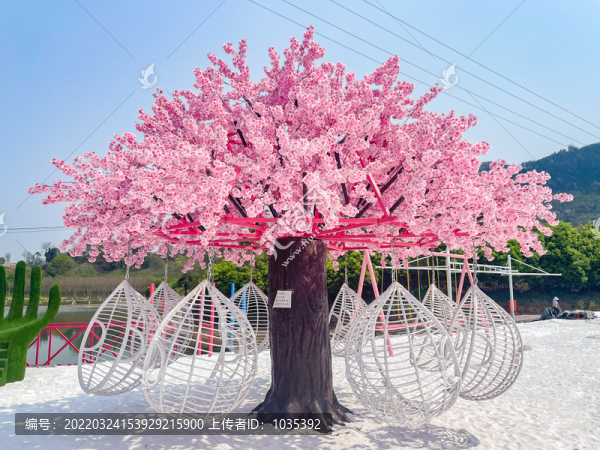 櫻花樹吊椅