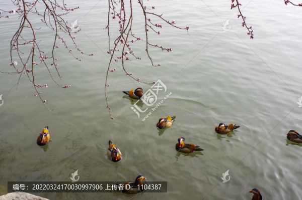 頤和園
