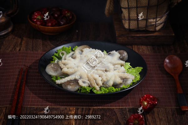 八爪魚