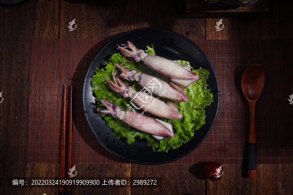 籽烏
