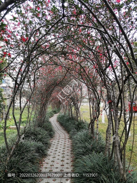 花園小路