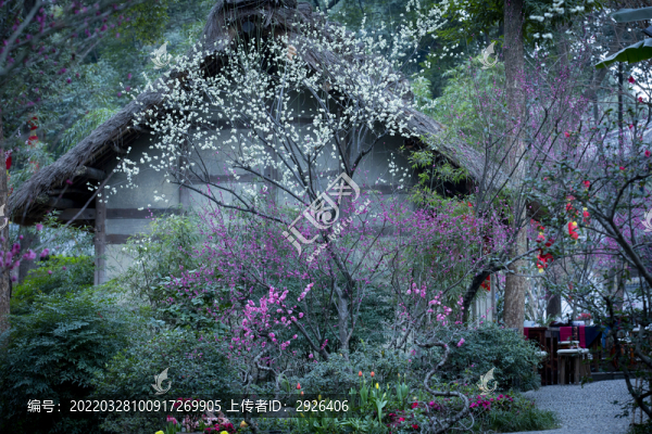 家居花叢