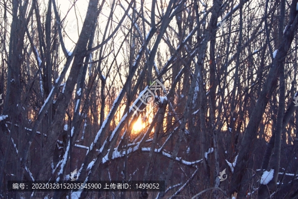 冬季斜陽