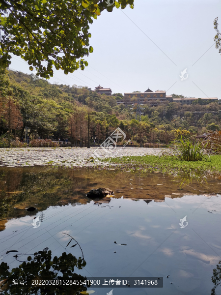 湖畔倒映