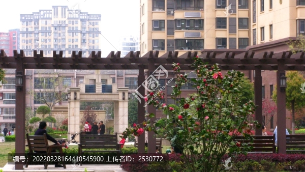 小區(qū)春色