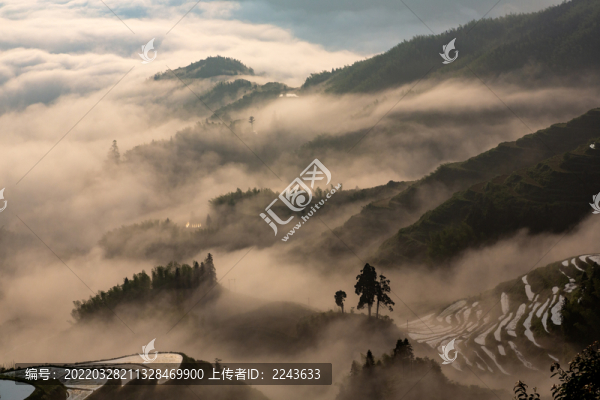 浙江麗水云和梯田景區(qū)云海