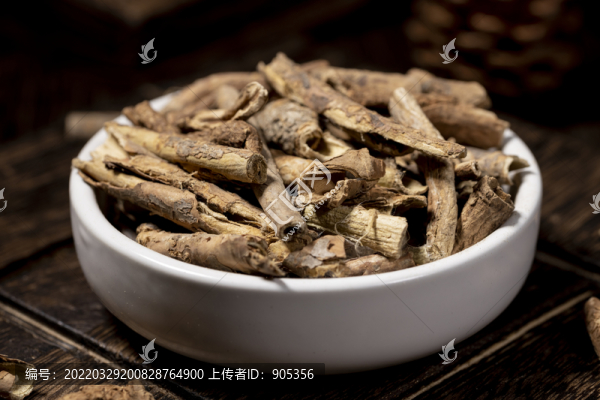 五加皮