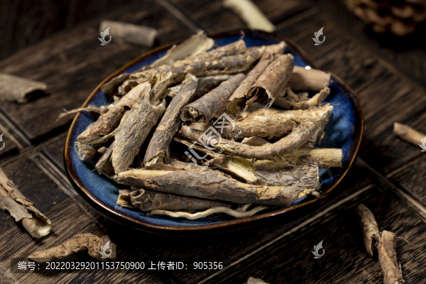 五加皮