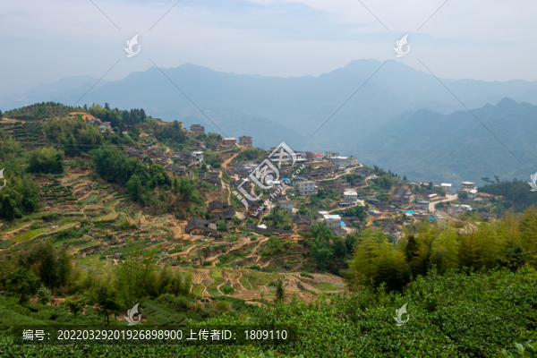 福建省安溪縣茶葉村莊