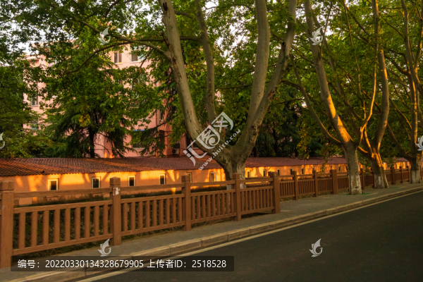 城市街道設(shè)施街景路面交通
