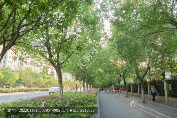 城市街道設施街景路面交通