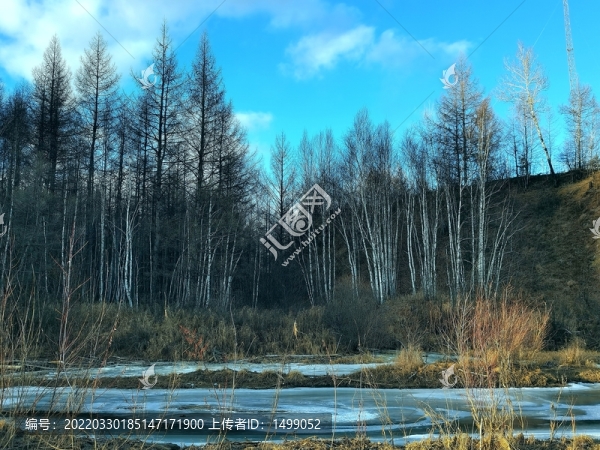 大山里的深秋