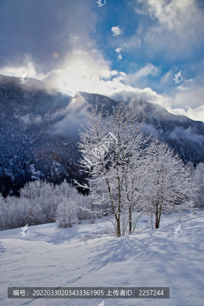 雪景與山景