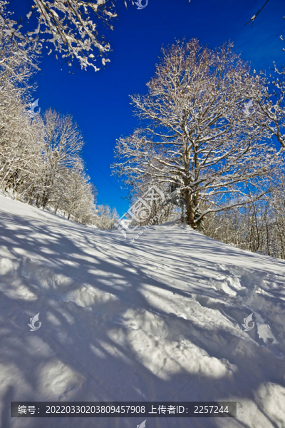 雪景與山景