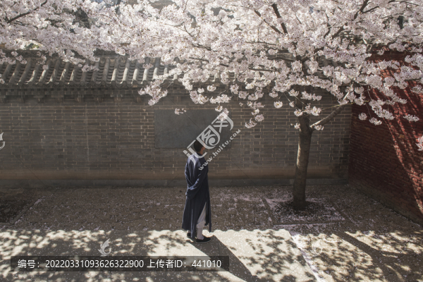 古寺春色