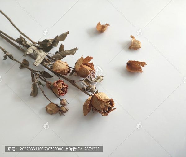 玫瑰干花花束