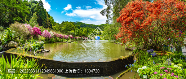 花海全景圖