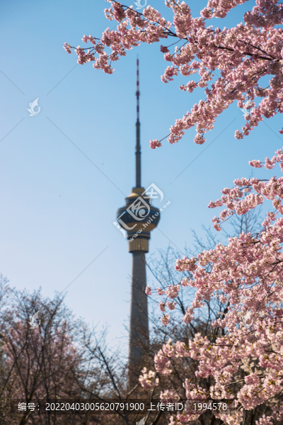 電視塔