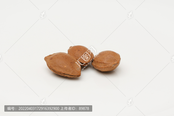 杏仁
