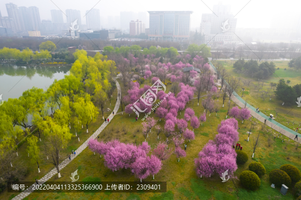 春景