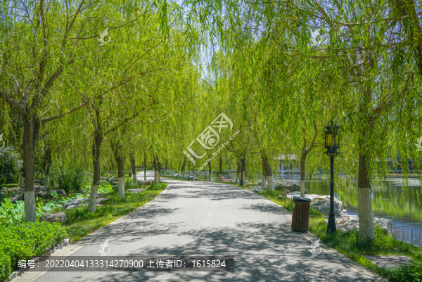 園林步道小路林蔭小路園林景觀