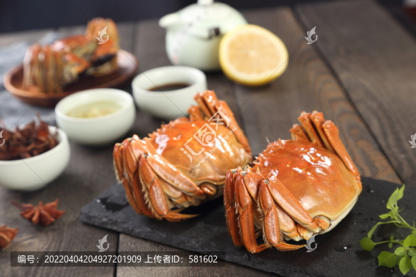 陽澄湖大閘蟹熟螃蟹