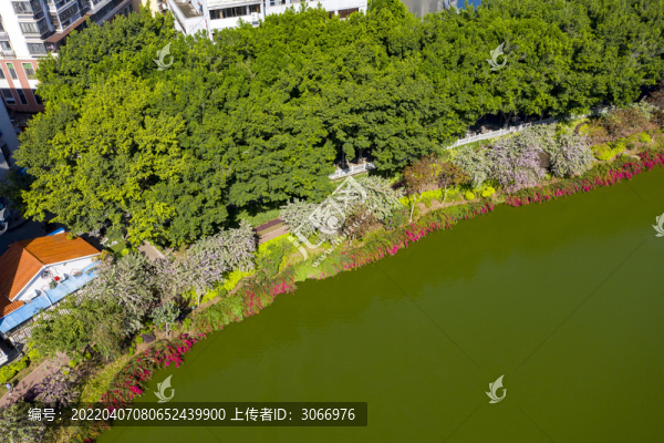 廣西梧州潘塘公園春景美