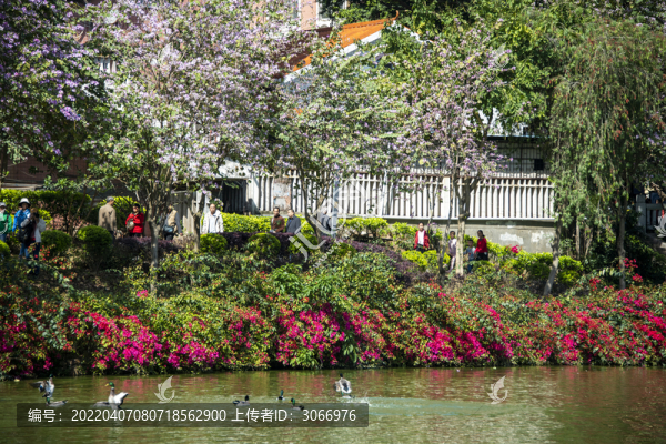 廣西梧州潘塘公園景色美