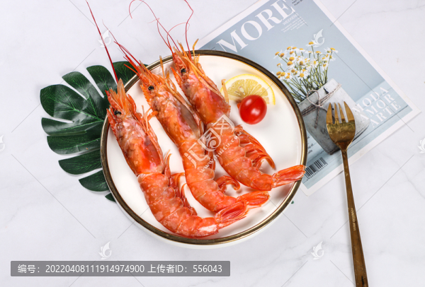 阿根廷紅蝦