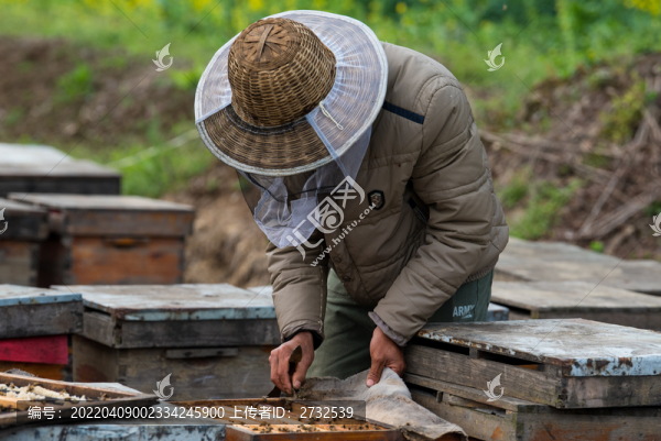 養(yǎng)蜂人