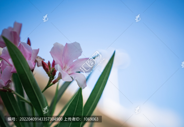藍(lán)天