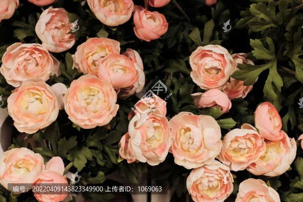 室內(nèi)裝飾
