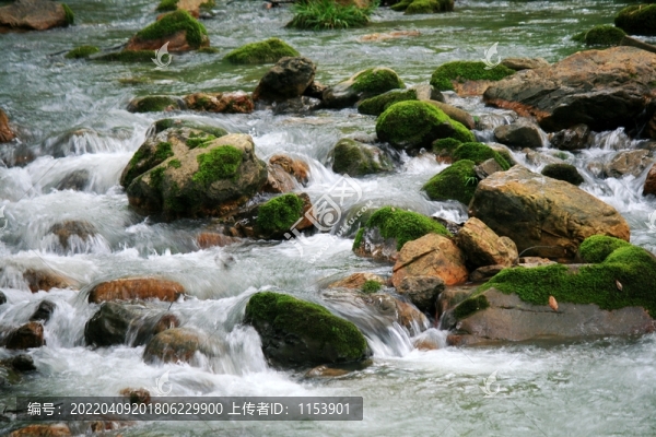 小河流水